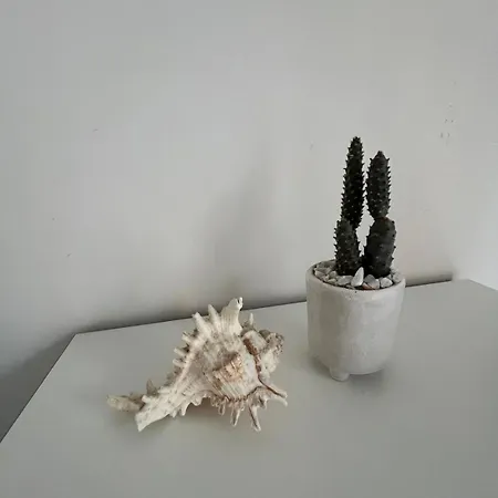 Bed & Breakfast L'onda -